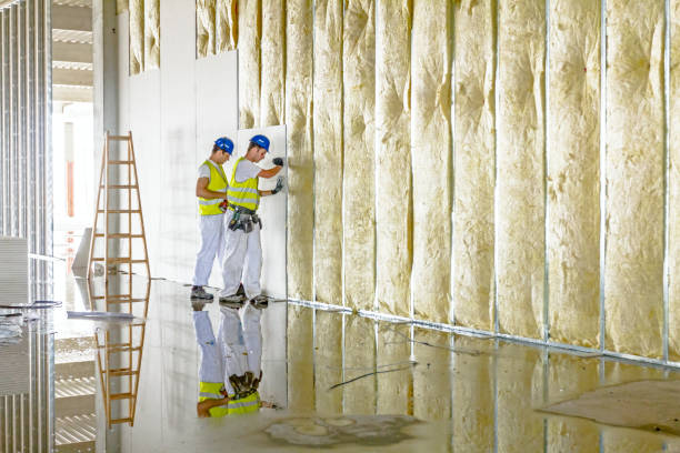 Best Energy Efficiency Insulation in Hillcrest, CA